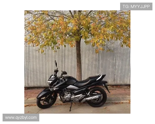 2.3万提17款GW250，外观更年轻，不再是“中老年之友”